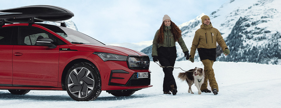 850-310_sad_b6_service_winter_hpp_hol-_und_bringservice