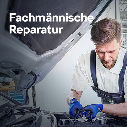 reparatur